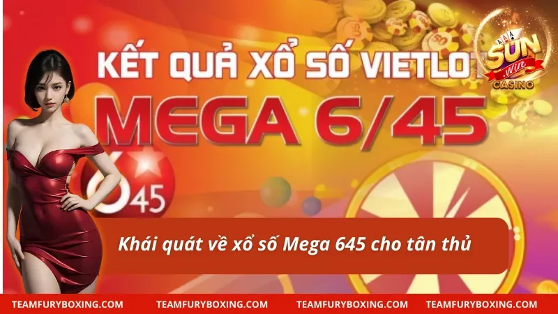 Xổ Số Mega 645 Với Cơ Hội Đem Về Tiền Tỷ Cho Người Chơi 7 Những thông tin chính xoay quanh Xổ số Mega 645